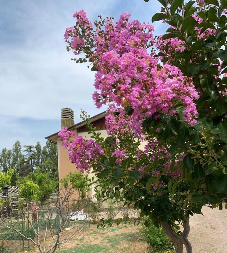 Agriturismo Monteroseo Bedizzole Esterno foto
